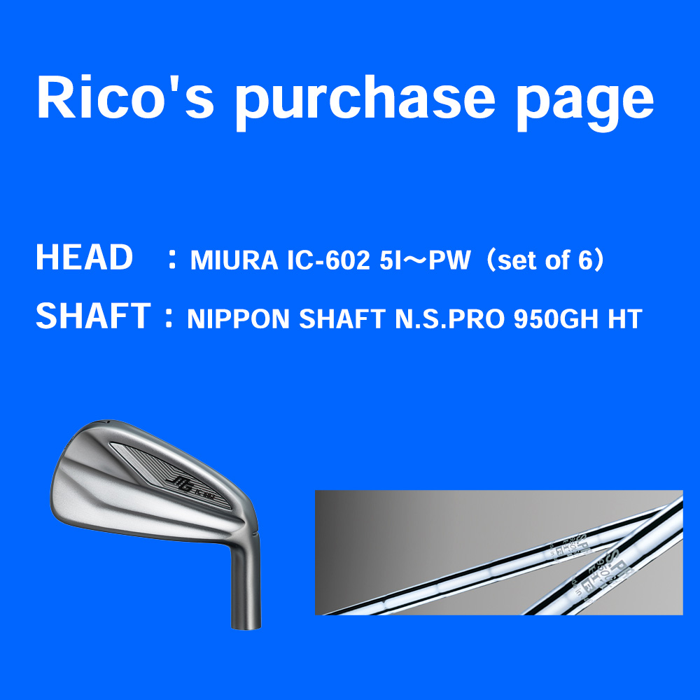 Rico's purchase page MIURA IC-602 5I～PW（set of 6） N.S.PRO 950GH HT